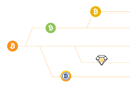 Ce este o bifurcatie sau forking-ul criptomonedei? - Goana dupa Bitcoin