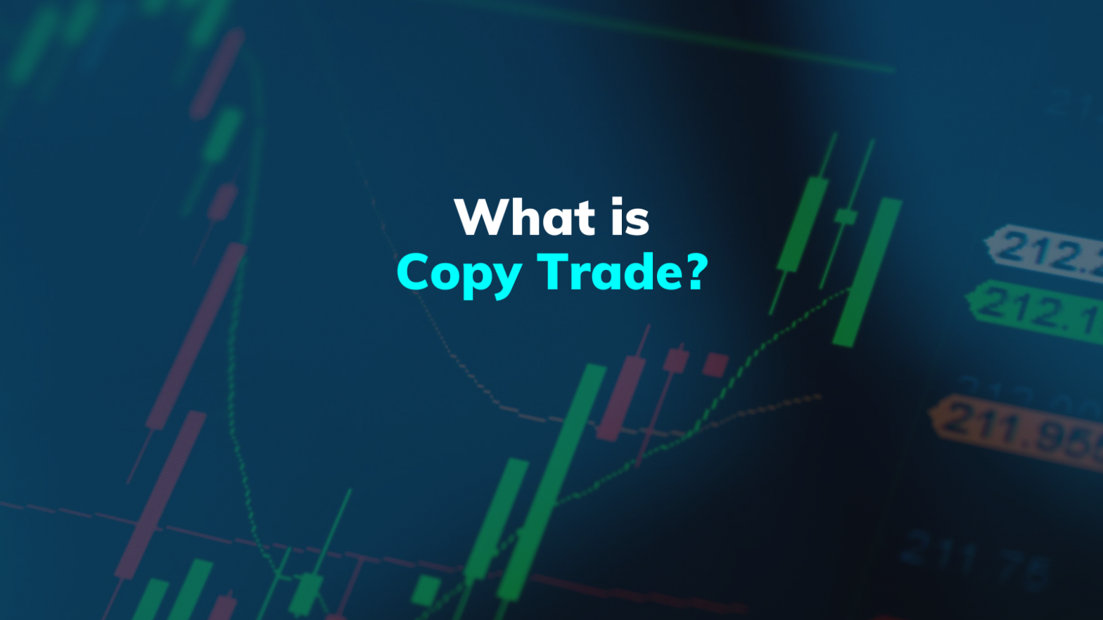 copy trades